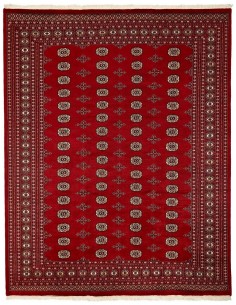 Hand made rug Bukhara fine Pakistan cm.247x312