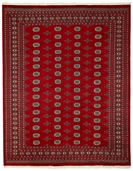 Hand made rug Bukhara fine Pakistan cm.247x312