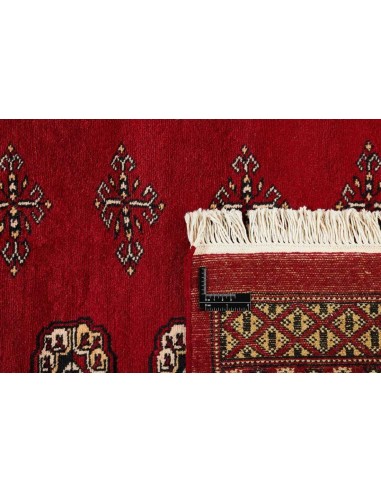 Hand made rug Bukhara fine Pakistan cm.247x312