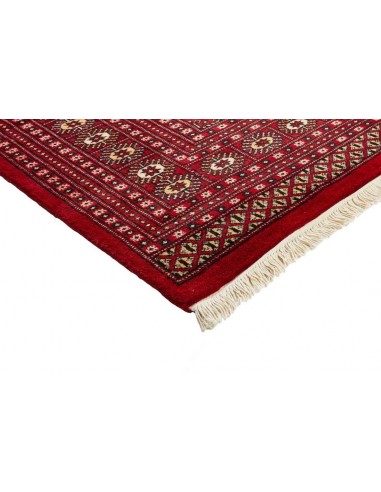 Hand made rug Bukhara fine Pakistan cm.247x312