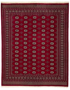 Hand made rug Bukhara fine Pakistan cm.247x307