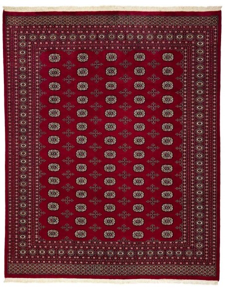 Hand made rug Bukhara fine Pakistan cm.247x307