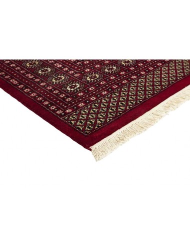 Hand made rug Bukhara fine Pakistan cm.247x307