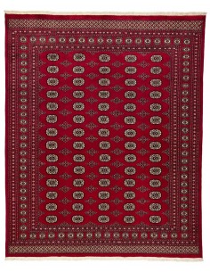 Hand made rug Bukhara fine Pakistan cm.244x297