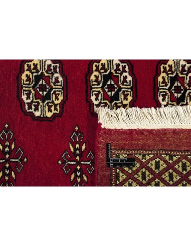 Hand made rug Bukhara fine Pakistan cm.244x297