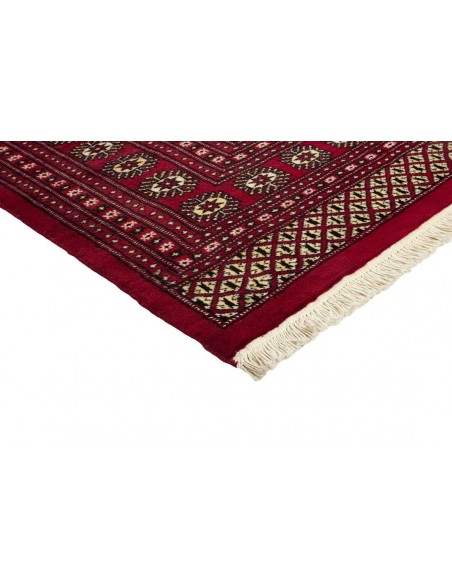 Hand made rug Bukhara fine Pakistan cm.244x297