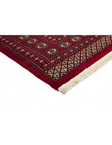 Hand made rug Bukhara fine Pakistan cm.244x297
