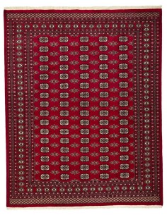 Hand made rug Bukhara fine Pakistan cm.244x306