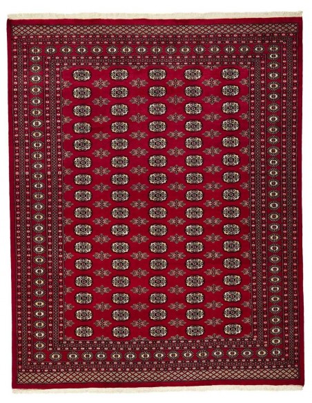 Hand made rug Bukhara fine Pakistan cm.244x306