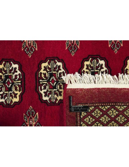 Hand made rug Bukhara fine Pakistan cm.244x306