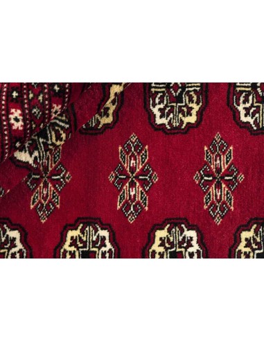 Hand made rug Bukhara fine Pakistan cm.244x306
