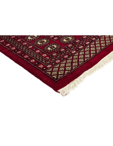 Hand made rug Bukhara fine Pakistan cm.244x306