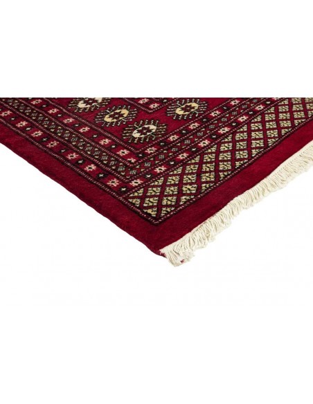Hand made rug Bukhara fine Pakistan cm.244x306