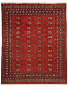Hand made rug Bukhara fine Pakistan cm.243x303