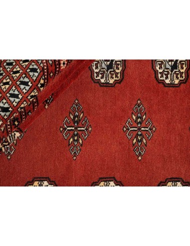 Hand made rug Bukhara fine Pakistan cm.243x303