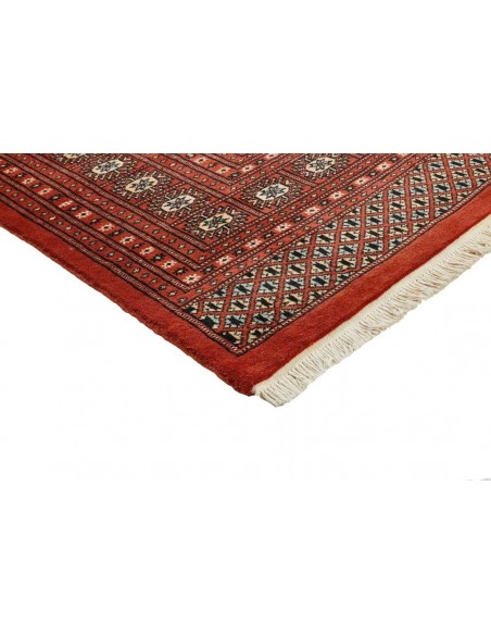 Hand made rug Bukhara fine Pakistan cm.243x303