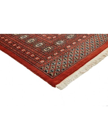 Hand made rug Bukhara fine Pakistan cm.243x303