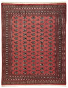 Hand made rug Bukhara fine Pakistan cm.246x310
