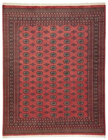 Hand made rug Bukhara fine Pakistan cm.246x310