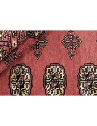 Hand made rug Bukhara fine Pakistan cm.246x310