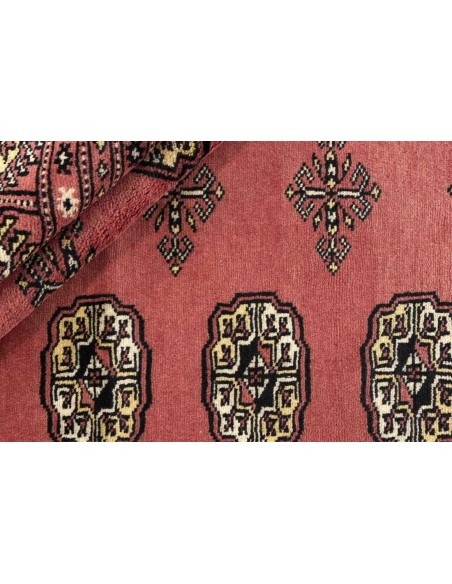 Hand made rug Bukhara fine Pakistan cm.246x310
