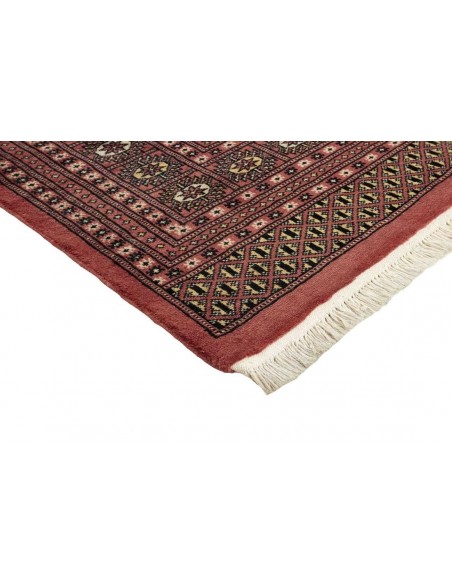 Hand made rug Bukhara fine Pakistan cm.246x310