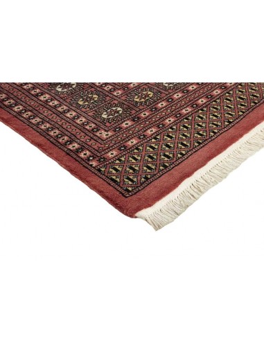 Hand made rug Bukhara fine Pakistan cm.246x310