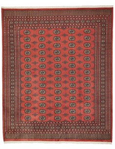 Hand made rug Bukhara fine Pakistan cm.254x306