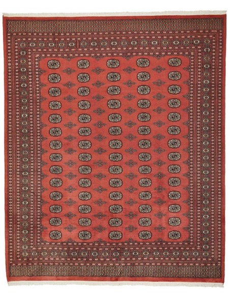 Hand made rug Bukhara fine Pakistan cm.254x306