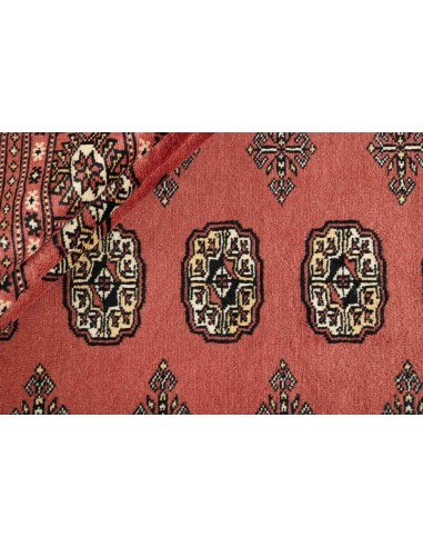 Hand made rug Bukhara fine Pakistan cm.254x306