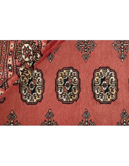 Hand made rug Bukhara fine Pakistan cm.254x306