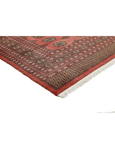 Hand made rug Bukhara fine Pakistan cm.254x306