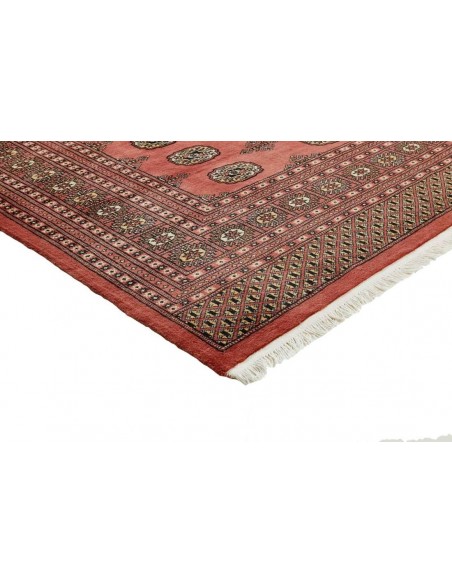 Hand made rug Bukhara fine Pakistan cm.254x306