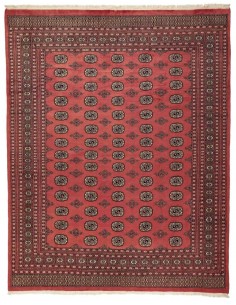 Hand made rug Bukhara fine Pakistan cm.244x307