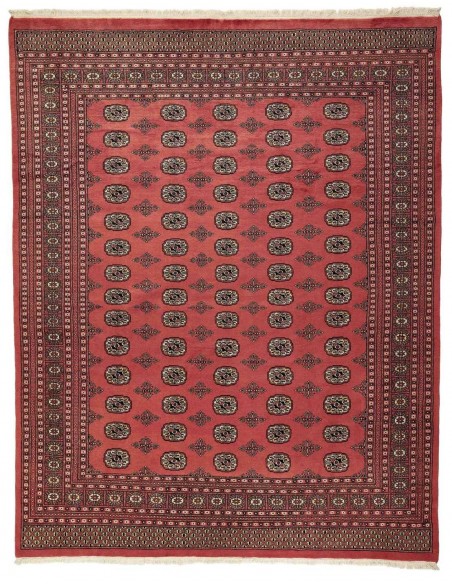 Hand made rug Bukhara fine Pakistan cm.244x307