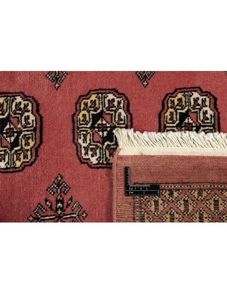 Hand made rug Bukhara fine Pakistan cm.244x307