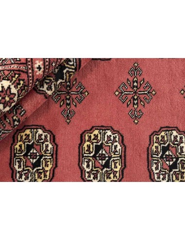 Hand made rug Bukhara fine Pakistan cm.244x307