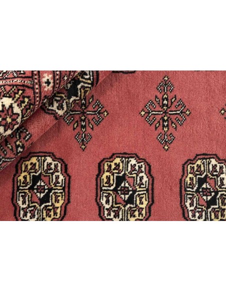 Hand made rug Bukhara fine Pakistan cm.244x307