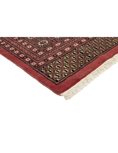 Hand made rug Bukhara fine Pakistan cm.244x307