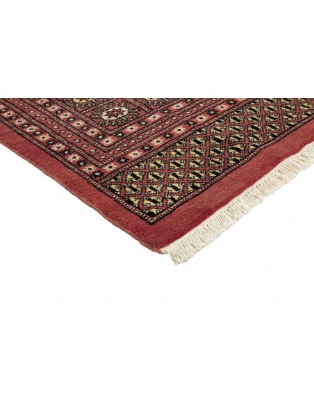 Hand made rug Bukhara fine Pakistan cm.244x307