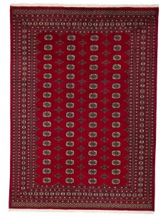 Hand made rug Bukhara fine Pakistan cm.244x336