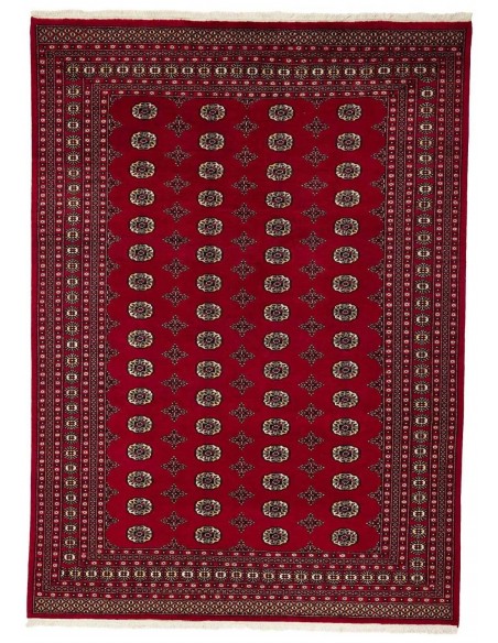 Hand made rug Bukhara fine Pakistan cm.244x336
