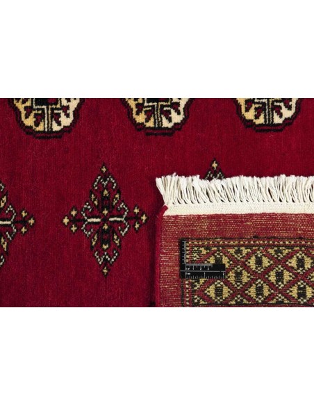 Hand made rug Bukhara fine Pakistan cm.244x336