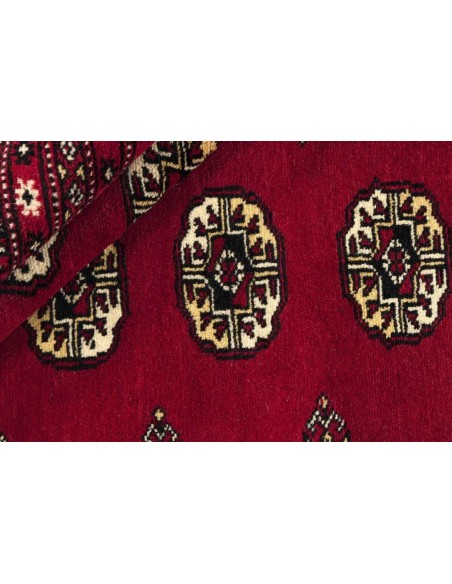 Hand made rug Bukhara fine Pakistan cm.244x336