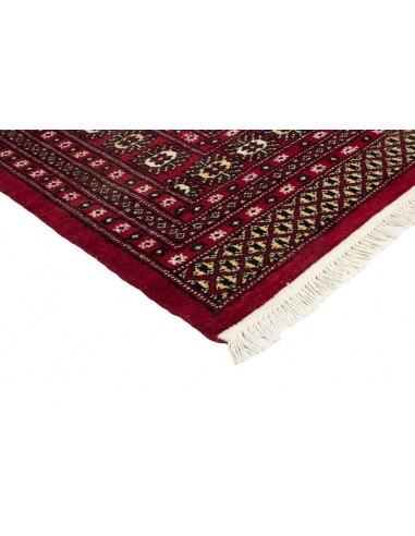 Hand made rug Bukhara fine Pakistan cm.244x336