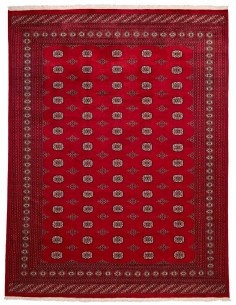 Hand made rug Bukhara fine Pakistan cm.278x364