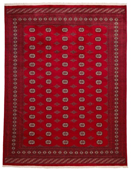Hand made rug Bukhara fine Pakistan cm.278x364