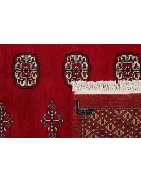 Hand made rug Bukhara fine Pakistan cm.278x364