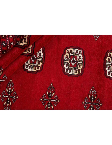 Hand made rug Bukhara fine Pakistan cm.278x364