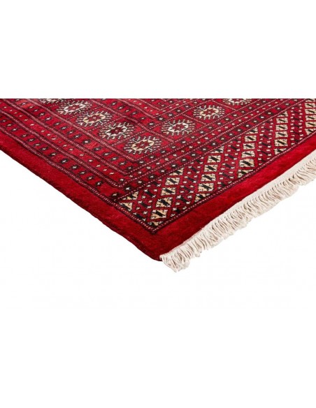 Hand made rug Bukhara fine Pakistan cm.278x364